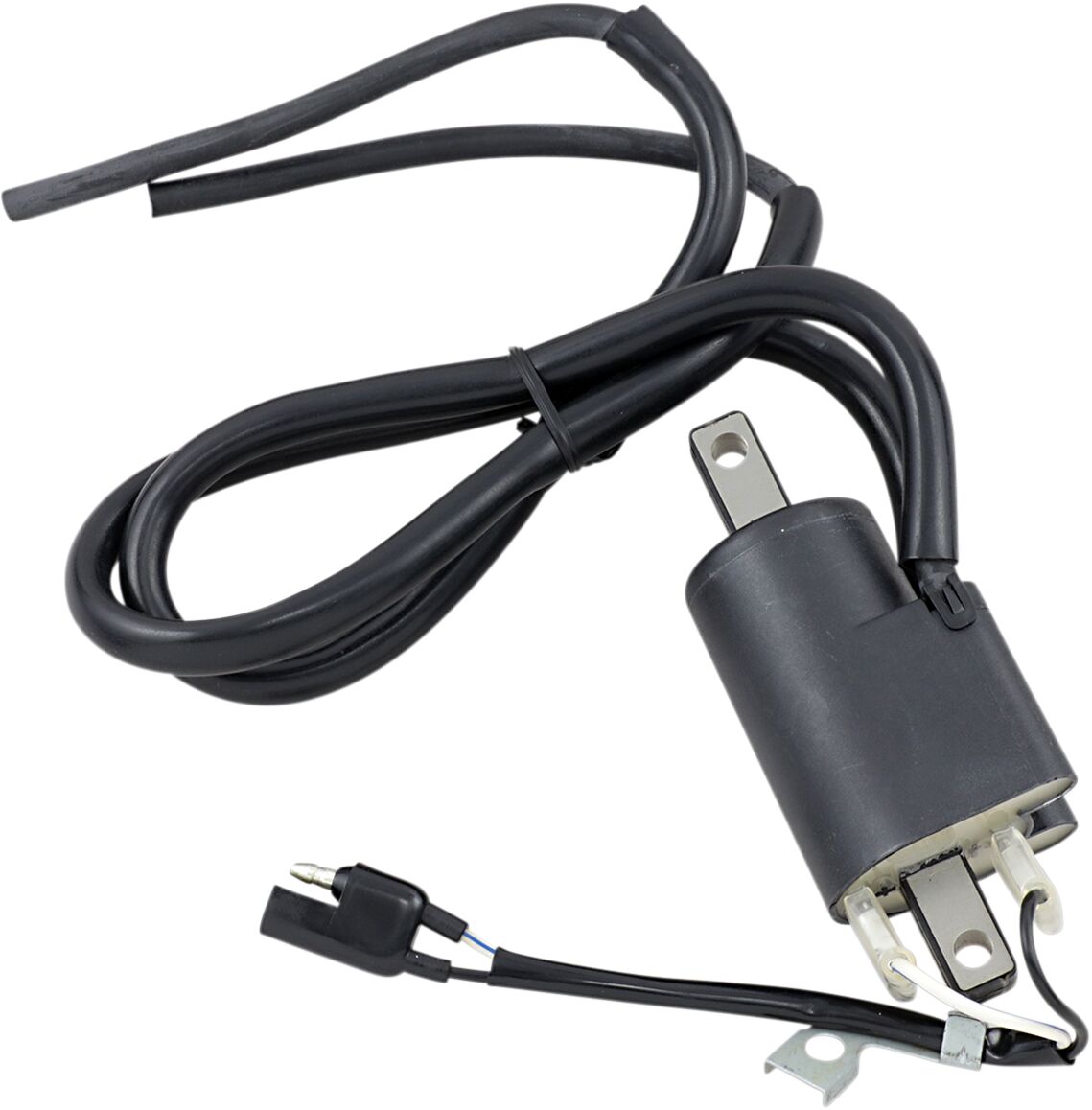 Parts Unlimited Ignition Coil Bomb.