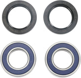 All Balls Wheel Bearing Kit 25 1273