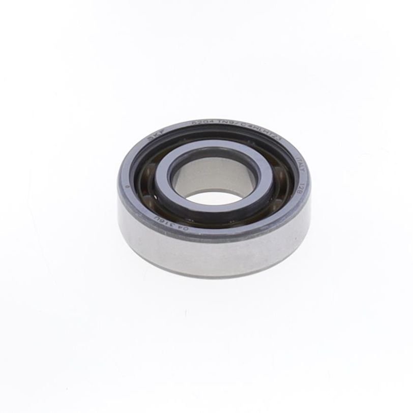 Athena Bearing 6204 Tn9/C4 Skf