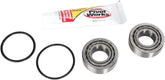 Pivot Works Bearing Ktstrgstm T02 000