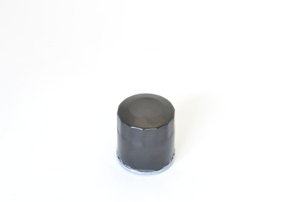 Athena Oil Filter Polaris