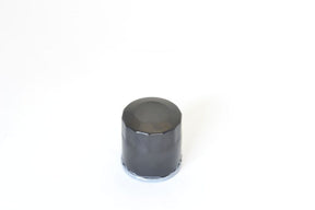 Athena Oil Filter Polaris