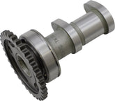 Hot Cams Cam Intake Kxf250 F