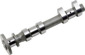 Hot Cams Cam Intake Hc00043