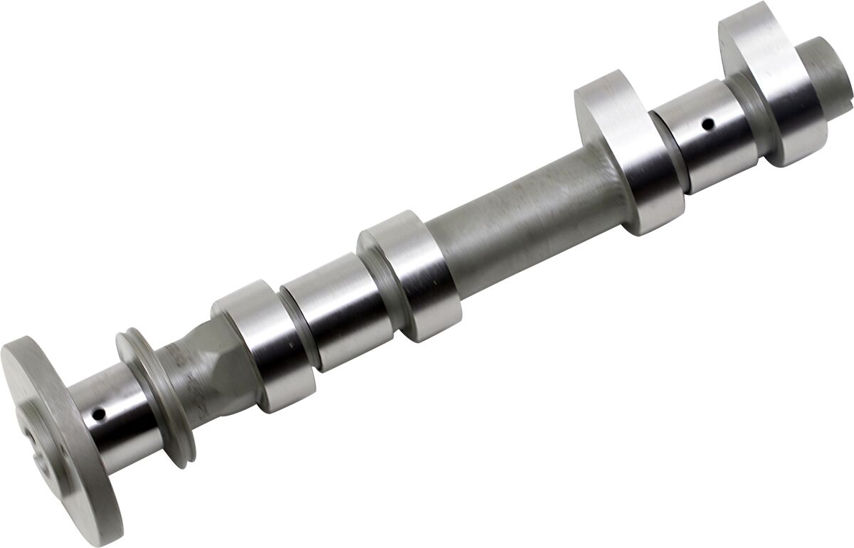 Hot Cams Cam Intake Hc00043