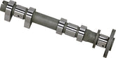 Hot Cams Cam Intake Hc00049