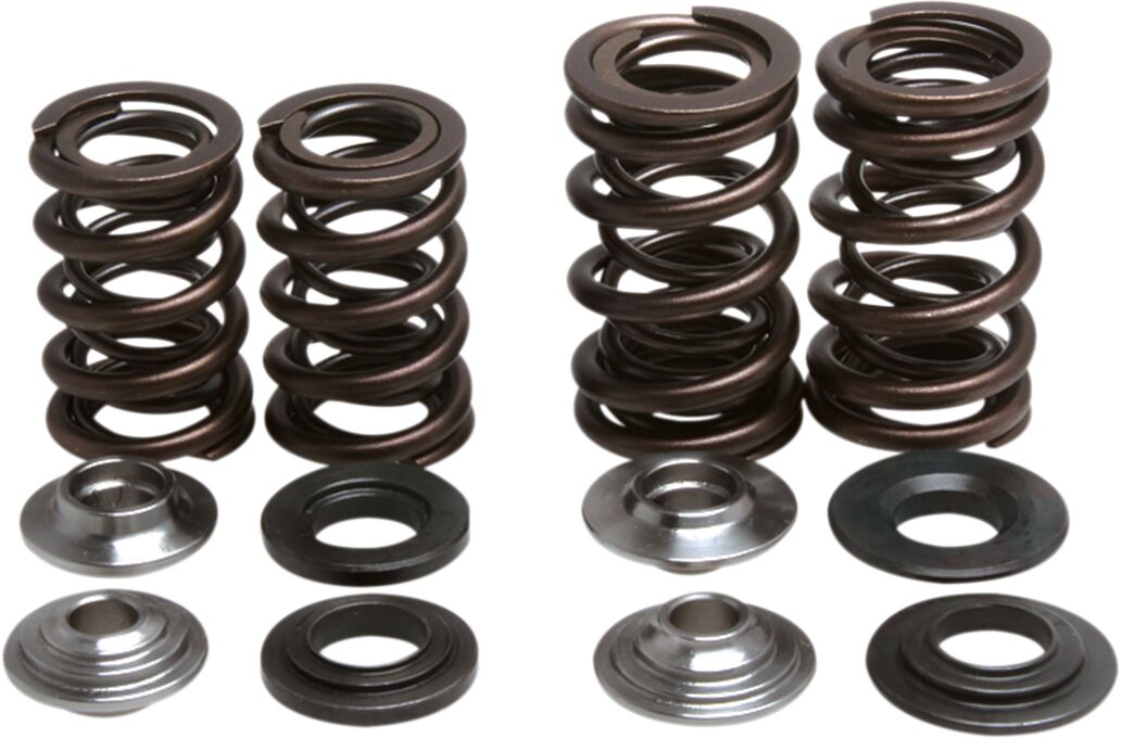 Kibblewhite Spring Kit Valve Trx450 R