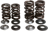 Kibblewhite Spring Kit Valve Trx450 R