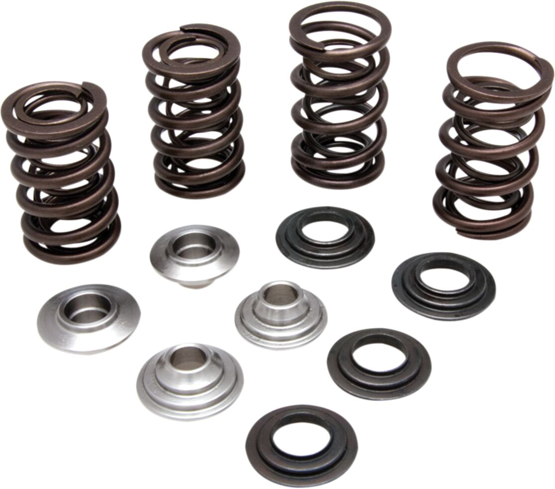Kibblewhite Kit Valve Spring Ltr 450
