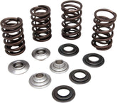 Kibblewhite Kit Valve Spring Ltr 450