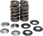 Kibblewhite Kit Valvespring Raptor700