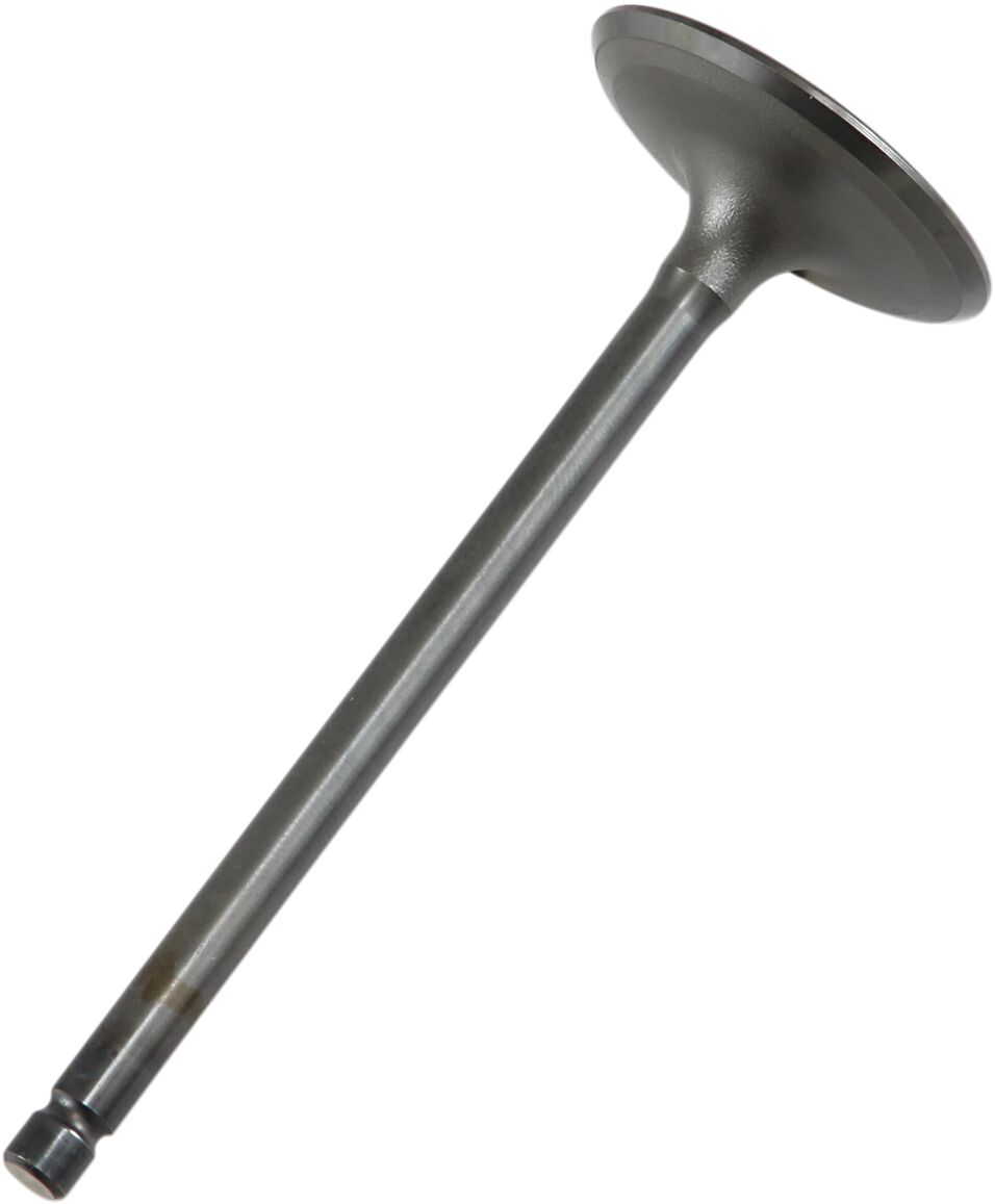 Prox Valve In Steel Raptor/Grizzly