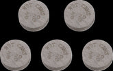 Hot Cams Valve Shim 5 Pk 7.48 X2.20