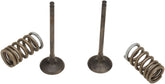Prox Valve Ex/Spring Kit Rm Z250