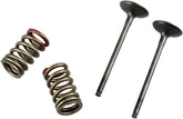 Prox Valve Ex/Spring Kx250 F+Rmz250