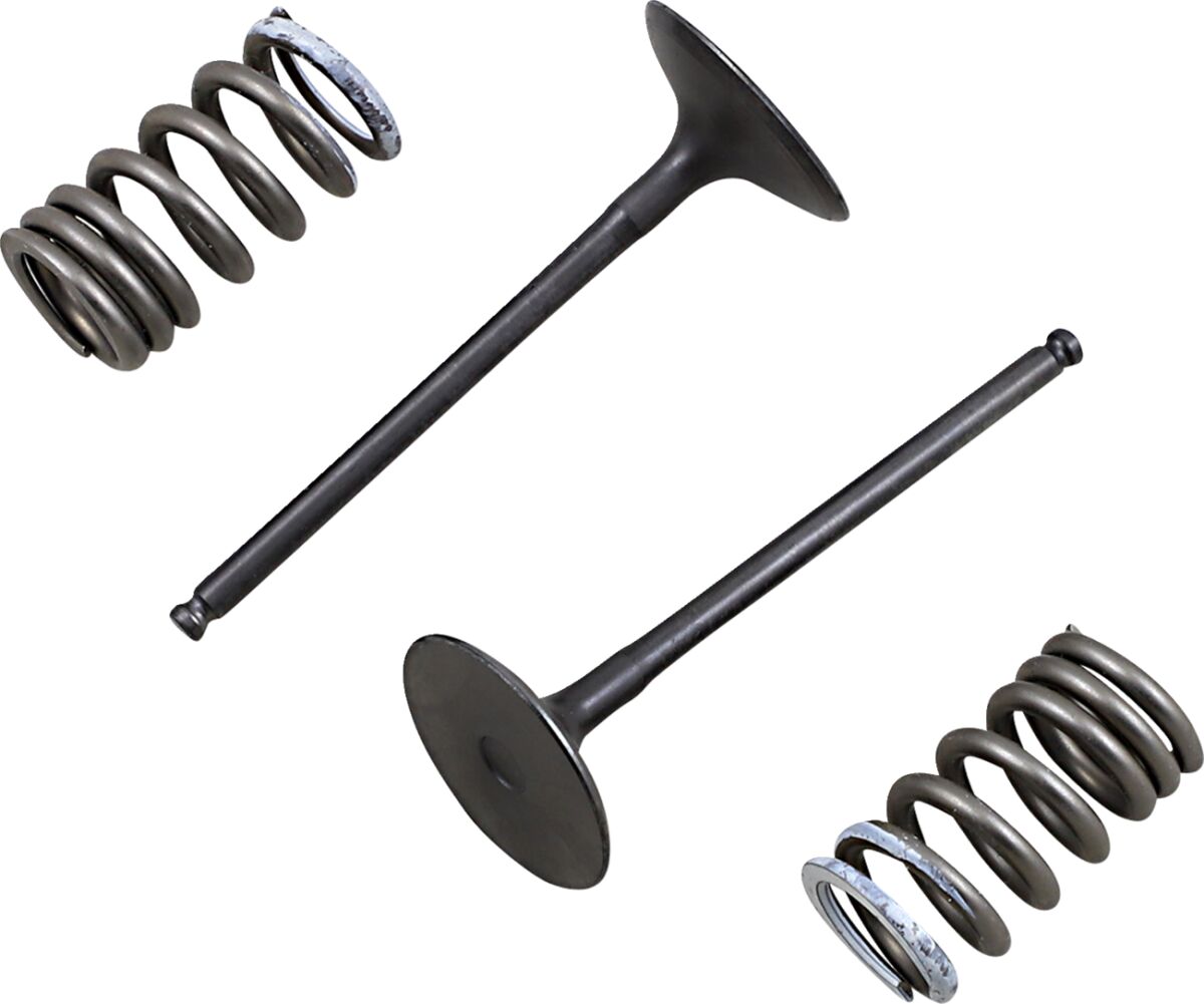 Prox Valve In/Spring Kit Rm Z250