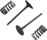 Prox Valve In/Spring Kit Rm Z250