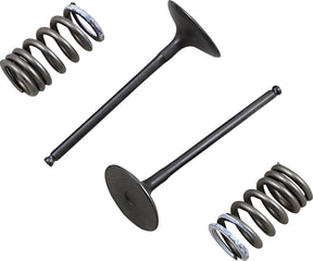Prox Valve In/Spring Kit Rm Z250