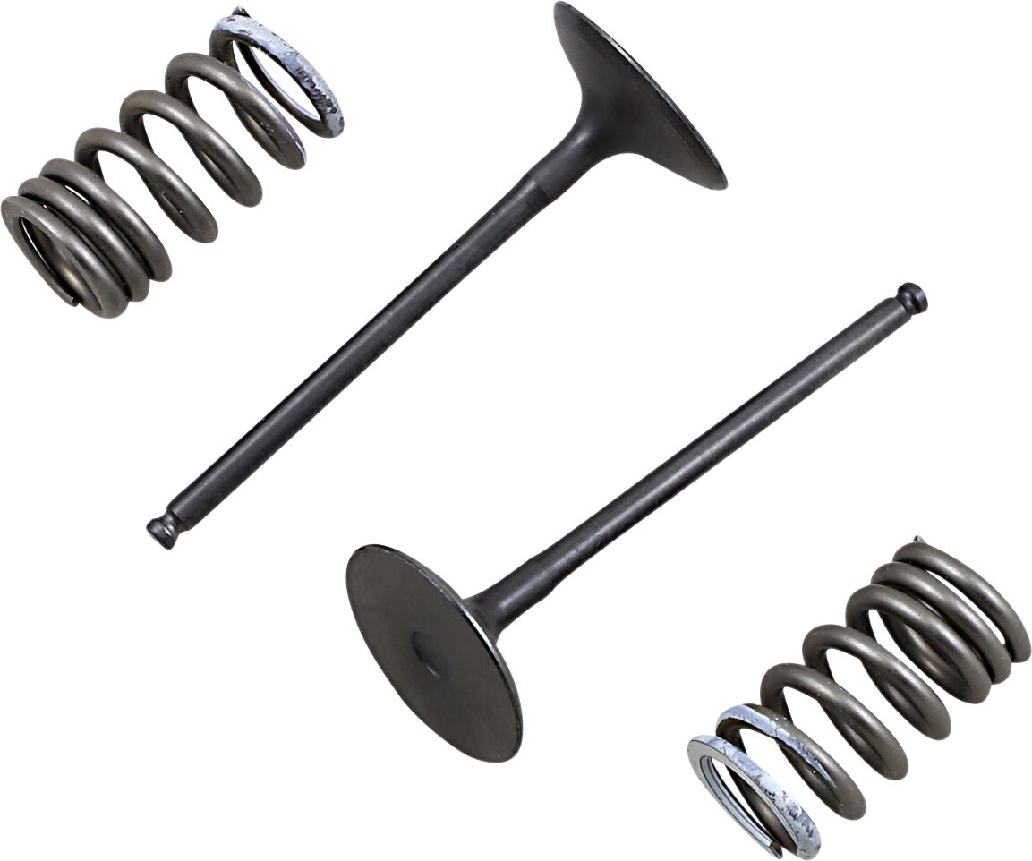 Prox Valve In/Spring Kit Rm Z250