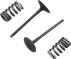 Prox Valve In/Spring Kit Rm Z250