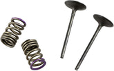 Prox Valve In/Spring Kit Kx250 F
