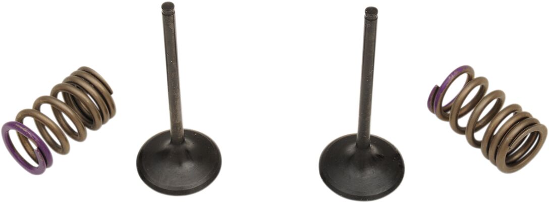 Prox Valve In/Spring Kit Kx250 F