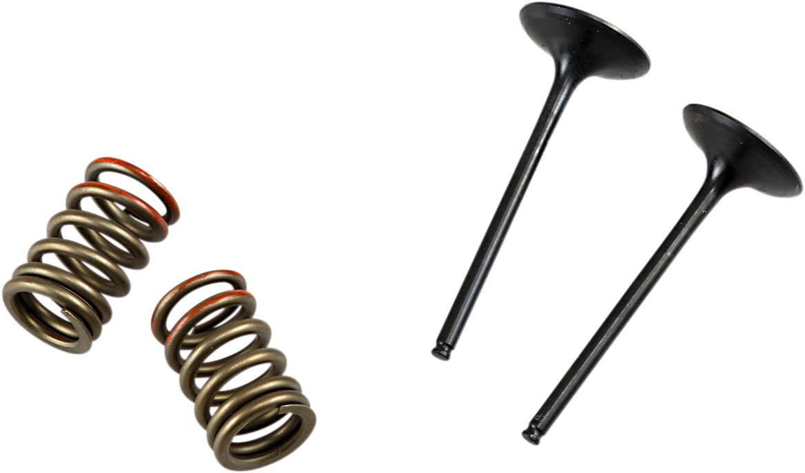 Prox Valve In/Spring Kit Kx250 F