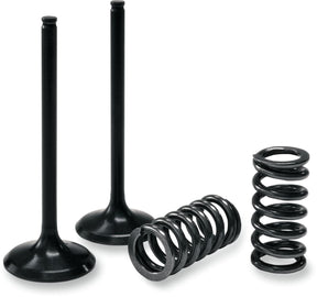 Prox Valve In/Spring Kit Kx250 F