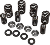 Kibblewhite Spring Kit .445 Rmz250