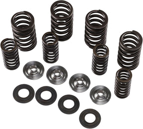 Kibblewhite Spring Kit .445 Rmz250