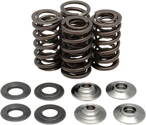 Kibblewhite Spring Kit .445 Rmz250