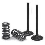 Prox Valve Ex/Spring Kit Exc F