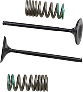 Prox Intake Valve/Spring Kit