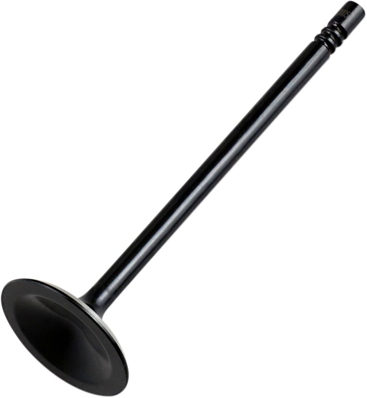 Hot Cams Valve Intake Steel