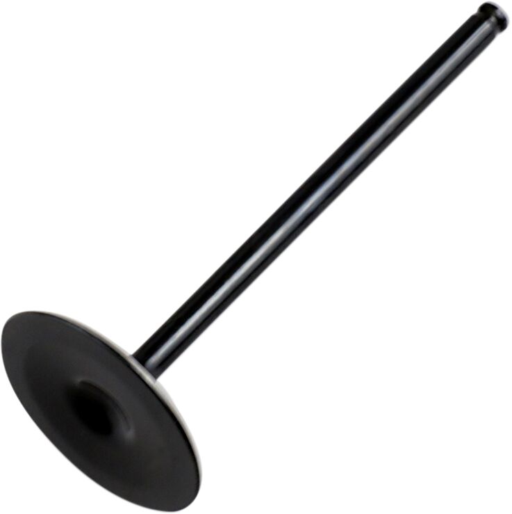 Hot Cams Valve Intake Steel