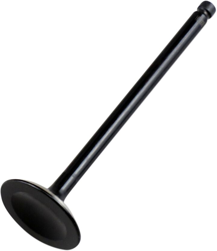 Hot Cams Valve Intake Steel