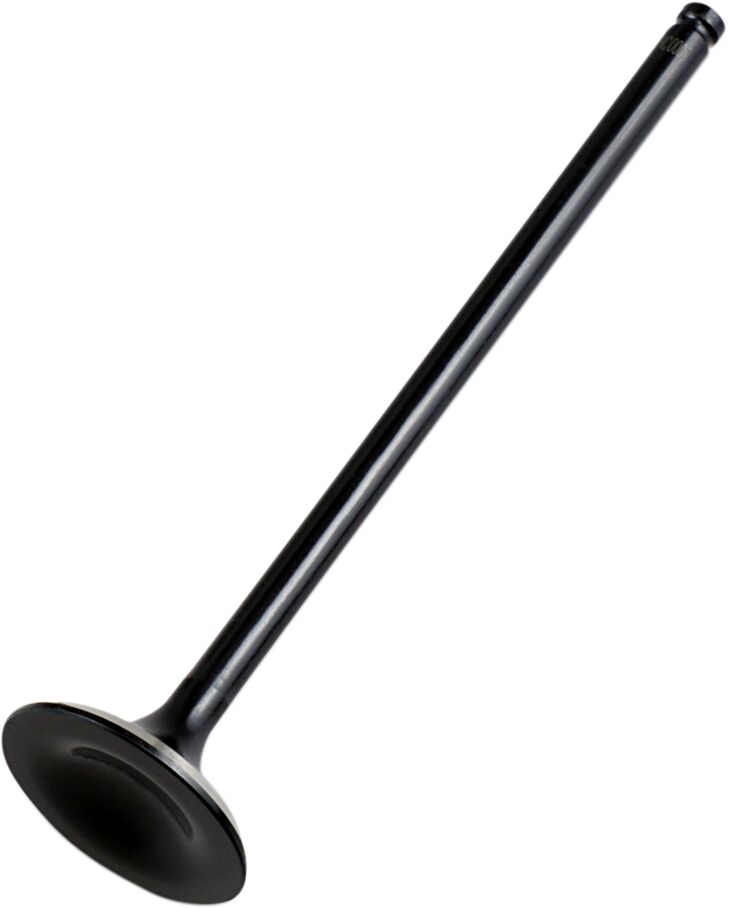 Hot Cams Valve Intake Steel