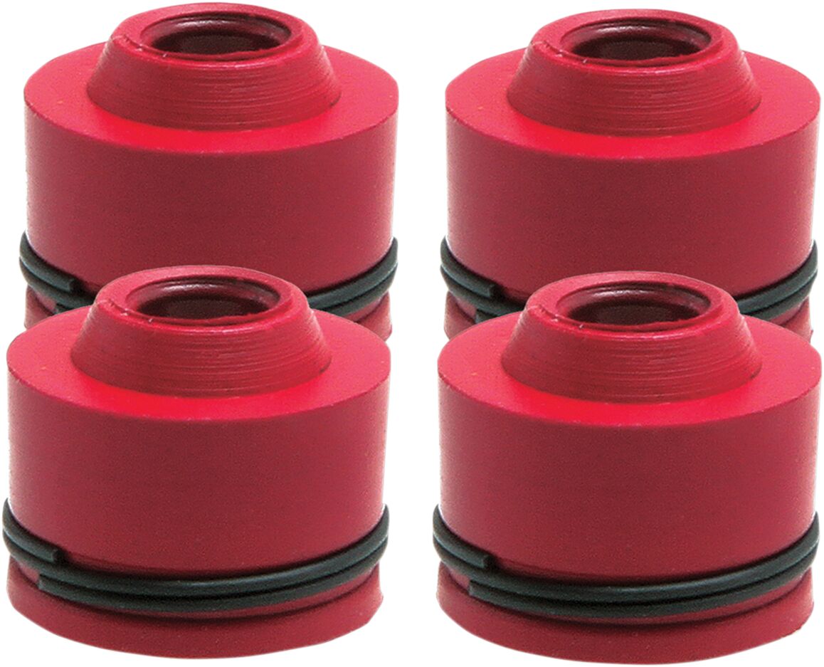 Kibblewhite Seal Vlv Gd Kx250 F 4/Pk