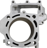 Cylinder Works Cylinder Std Teryx Rear