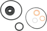 K&S Technologies Gasket Kit Wp Repair