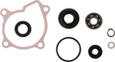 Prox Repr Kt Wtrpmp 660 Grizz1