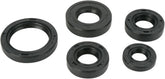 Moose Offroad Hard Parts Oil Seal Set Mse Kaw