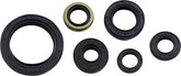 Moose Offroad Hard Parts Seal Oil Set Klx250