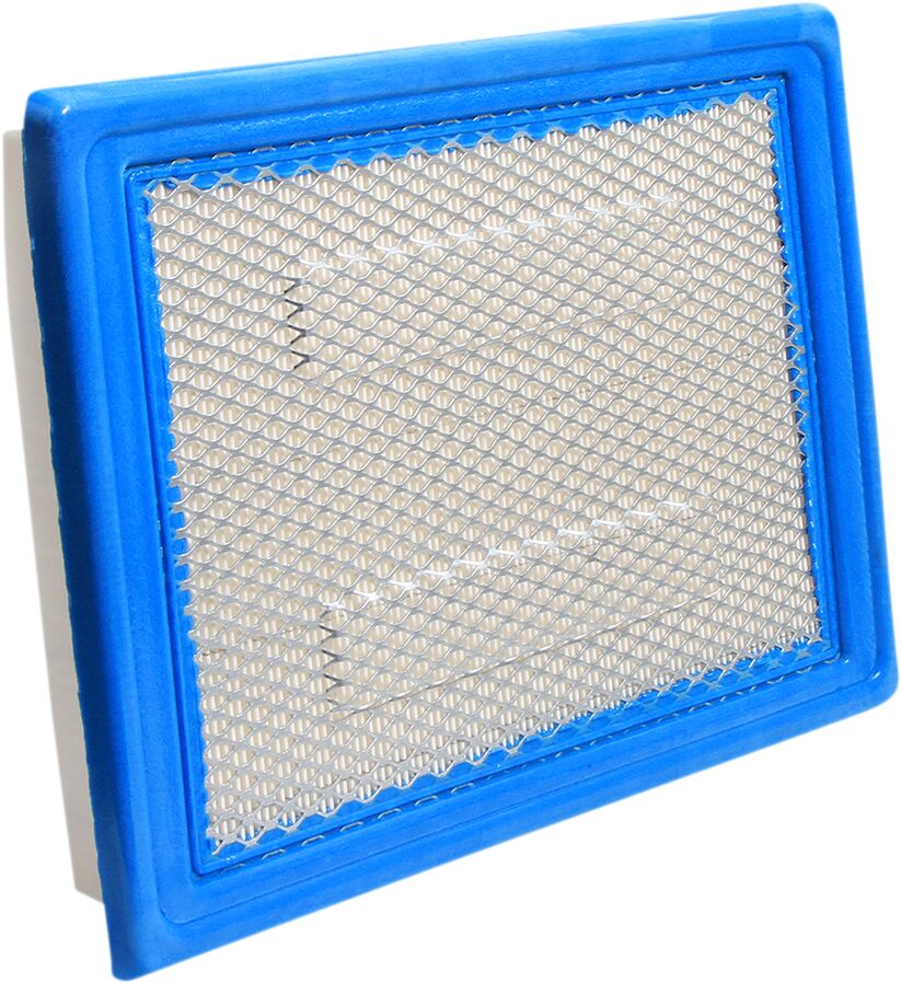 All Balls Air Filter Polaris