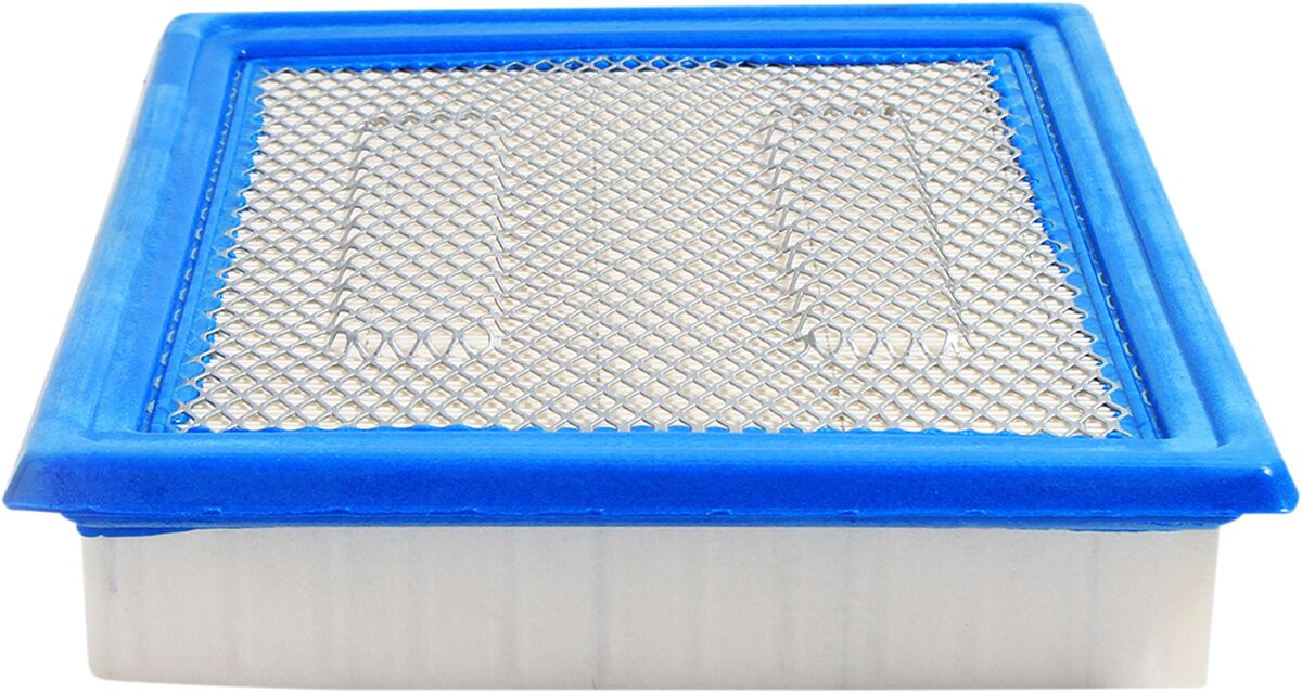 All Balls Air Filter Polaris