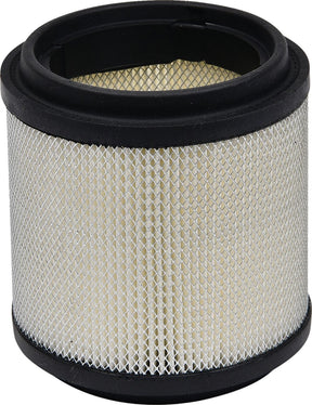All Balls Air Filter Polaris