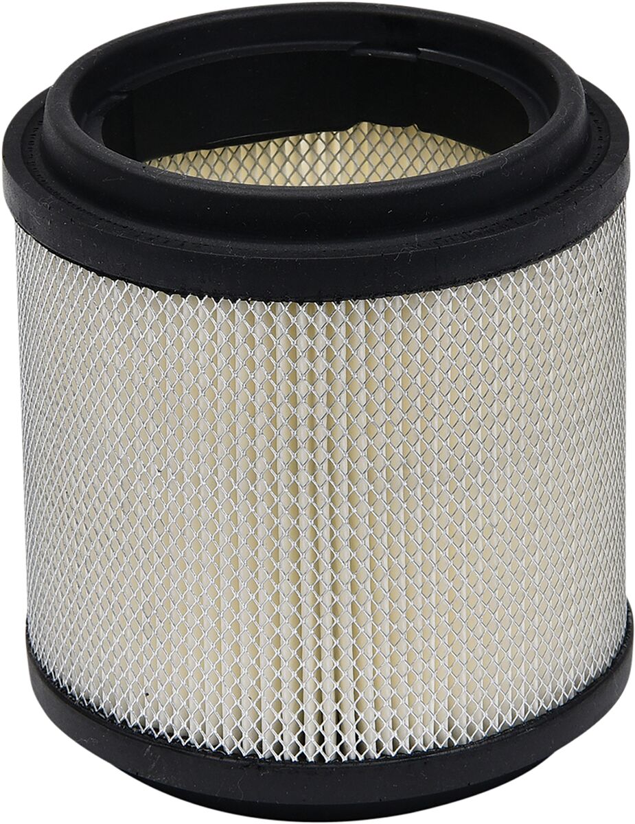 All Balls Air Filter Polaris