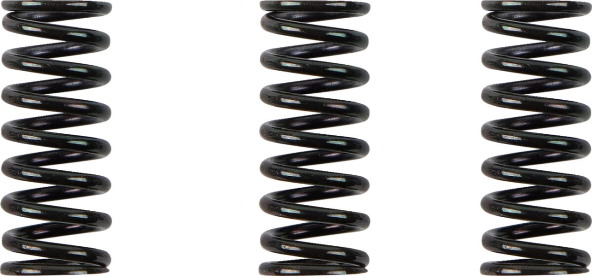 Barnett Clutch Spring Kit Ducati