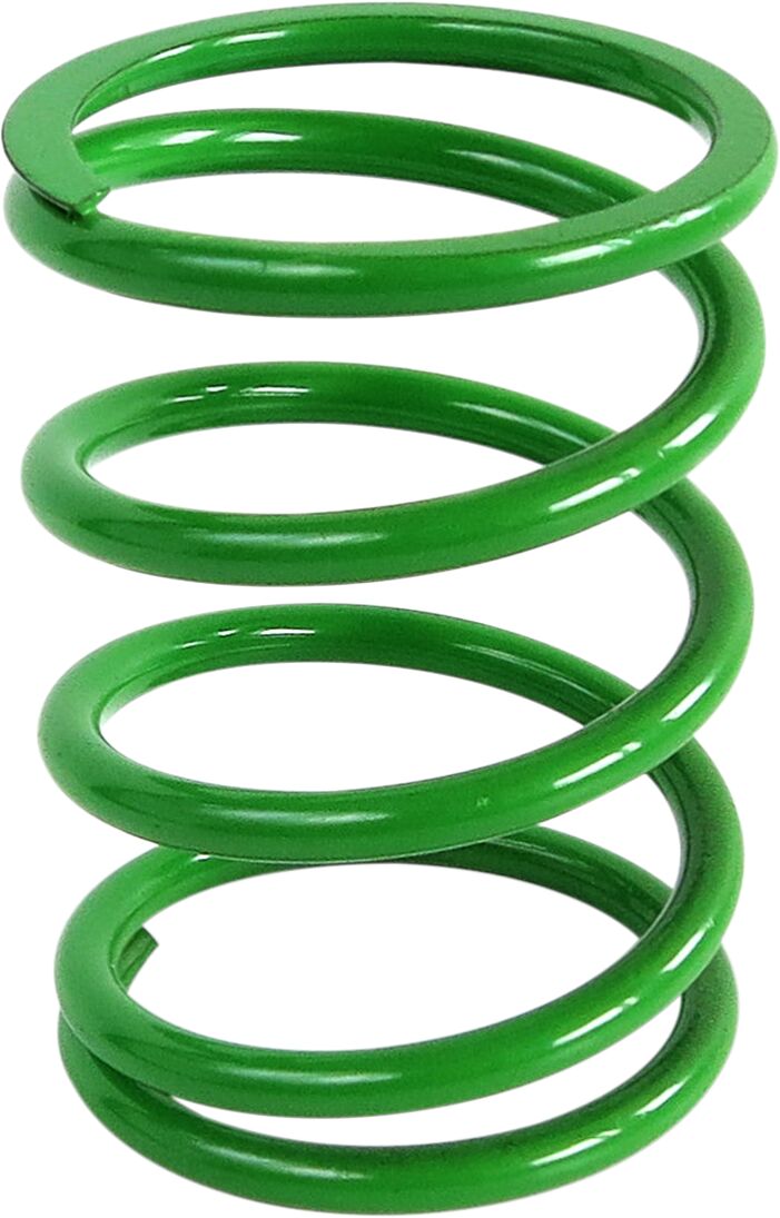 Epi Spring Clutch Primary Pol