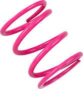 Epi Spring Clutch Primary Pol